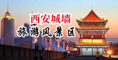 操欧洲性感老年大黑逼中国陕西-西安城墙旅游风景区